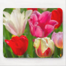Search for assorted colours mousepads Colourful