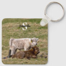 Search for highland cattle key rings Heilan coo