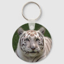 Search for greetings card key rings White