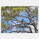 Search for herons magnets Tree