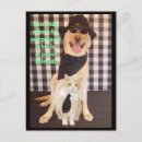 Search for buddy postcards Dog