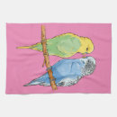 Search for budgie kitchen dining Birds