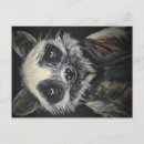 Search for racoon postcards Mail
