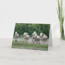 Search for running horse cards Ranch