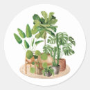 Search for indoor stickers Tropical