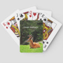 Search for deer playing cards Nature