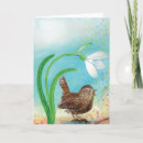 Search for wren bird cards Birds