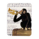 Search for trumpet magnets Flowers