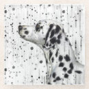Search for dalmatian coasters Dog