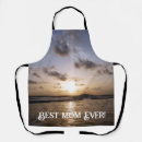 Search for shoreline aprons Sea