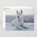 Search for husky dogs postcards Pet