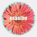 Search for gerberas stickers Gerbera daisy