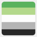 Search for aromantic flag stickers Queer