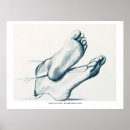 Search for figure study Anatomy