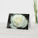 Search for dewi cards Rose