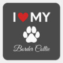 Search for collie border stickers Puppies