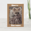 Search for across the miles birthday cards Photography