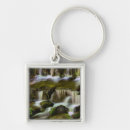 Search for fern key rings Black