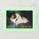 Search for careful postcards Kitten