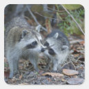 Search for sanibel florida stickers Ding darling