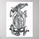 Search for vets art Horse