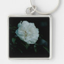Search for flowering shrub key rings Plant