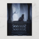Search for familiarity postcards Cat