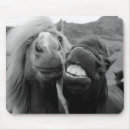 Search for getty mousepads Photography