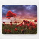 Search for remember electronics Flower