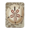 Search for sonnets magnets Seaside