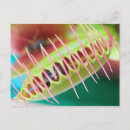 Search for venus flytrap postcards Plants