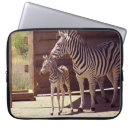 Search for zebra electronics Animals