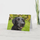 Search for black labrador birthday cards Funny