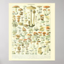 Search for adolphe millot posters Vintage