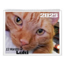 Search for orange cat calendars Tabby
