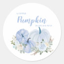 Search for pretty pumpkin stickers Fall autumn