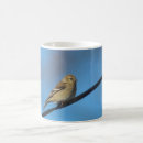 Search for finch mugs Colourful