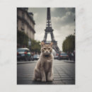 Search for paris and cats postcards Kitty