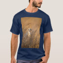Search for camel tshirts Cameroon