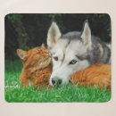 Search for siberian husky blankets Funny