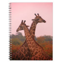 Search for fights photography Wildlife