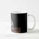 Search for jumping spider mugs Nature