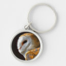 Search for wild owl key rings Birds