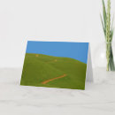 Search for bald cards Mountain