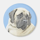 Search for mastiffs magnets Old english mastiff
