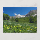 Search for french riviera postcards Landscape
