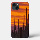 Search for arizona sunset electronics Colourful
