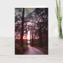 Search for sunrise pictures cards Trees