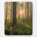 Search for landscape mousepads forest