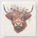 Search for highland cow coasters Nature